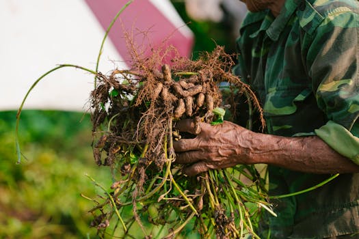 AI Revolution in Agriculture: Boosting Crop Yields and Reducing Food Waste
