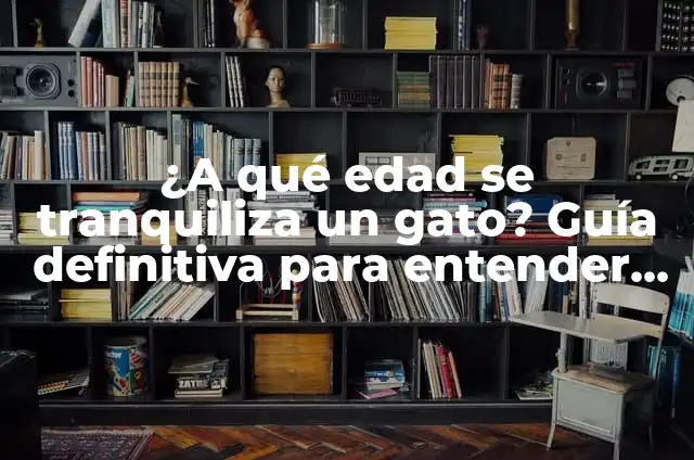 Cuanto duerme un gato de 3 meses: Guía completa sobre el sueño felino 5 ¿A qué edad se tranquiliza un gato? Guía definitiva para entender el desarrollo felino