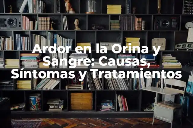 Infección de Orina con Sangre al Limpiarme: Causas, Síntomas y Tratamiento 3 Ardor en la Orina y Sangre: Causas, Síntomas y Tratamientos