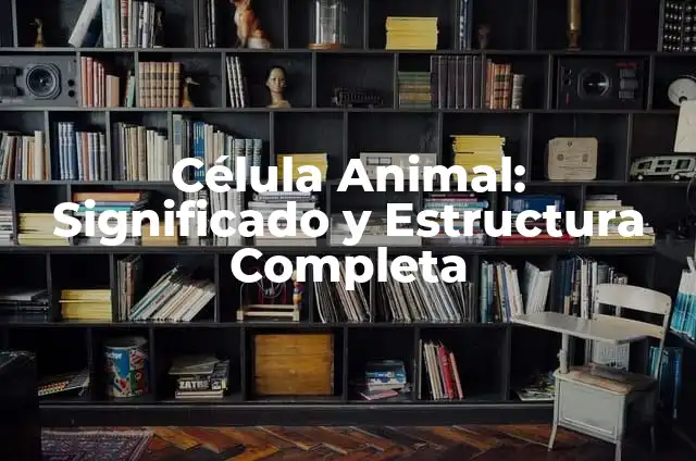 Diferencia entre Célula Vegetal y Célula Animal: Entendiendo las Distinciones Fundamentales 5 Célula Animal: Significado y Estructura Completa