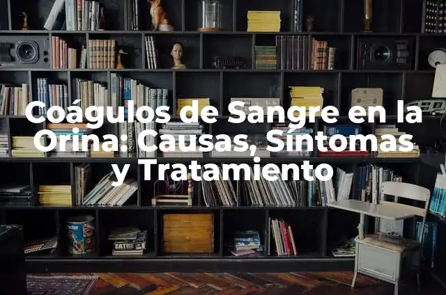 Infección de Orina con Sangre al Limpiarme: Causas, Síntomas y Tratamiento 7 Coágulos de Sangre en la Orina: Causas, Síntomas y Tratamiento