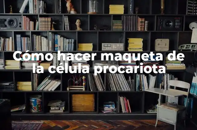 Como Hacer una Maqueta de Terremoto Fácil 4 Cómo hacer maqueta de la célula procariota