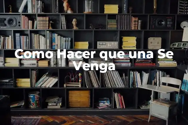 Sonidos para que tu gato venga: Atrae a tu amigo felino con estos consejos 6 Como Hacer que una Se Venga