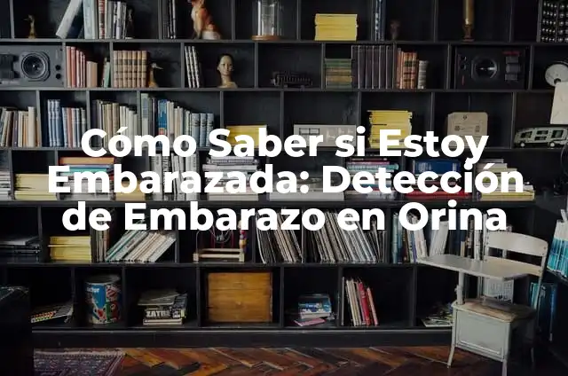 Cómo Tocarme el Vientre y Saber si Estoy Embarazada: Guía Detallada 6 Cómo Saber si Estoy Embarazada: Detección de Embarazo en Orina