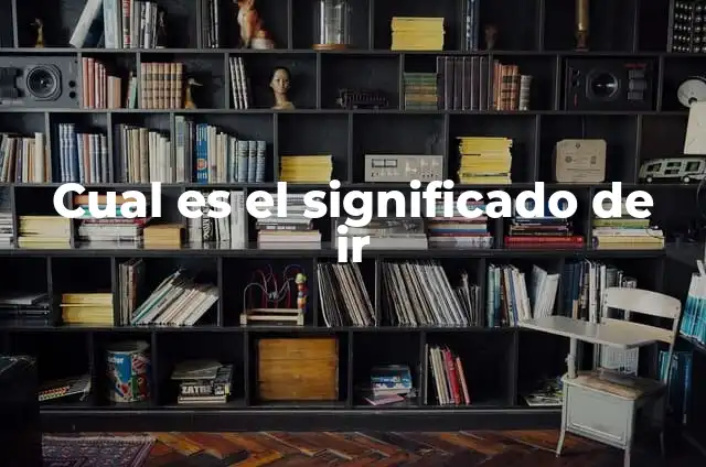 ¿Puedo Ir Sin Camiseta por la Calle? Reglas y Precauciones 7 Cual es el significado de ir