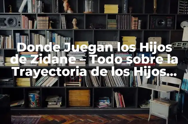 Donde Juegan los Hijos de Zidane - Todo sobre la Trayectoria de los Hijos del Lendario Zinédine Zidane