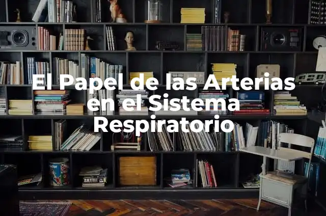 Anatomía de las Venas y Arterias del Cuerpo Humano 7 El Papel de las Arterias en el Sistema Respiratorio