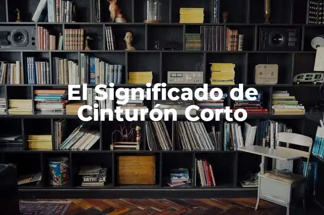 Como hacer cinturón de Santa 5 El Significado de Cinturón Corto