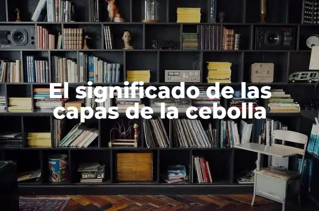 Cómo hacer un perfil topográfico paso a paso 4 El significado de las capas de la cebolla