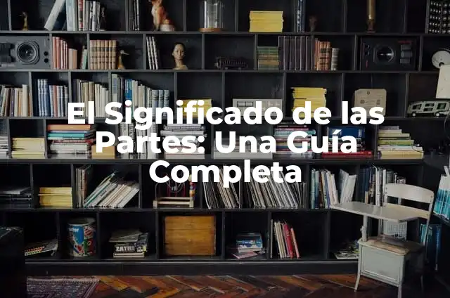 Partes de atrás de la rodilla: Anatomía y función 3 El Significado de las Partes: Una Guía Completa