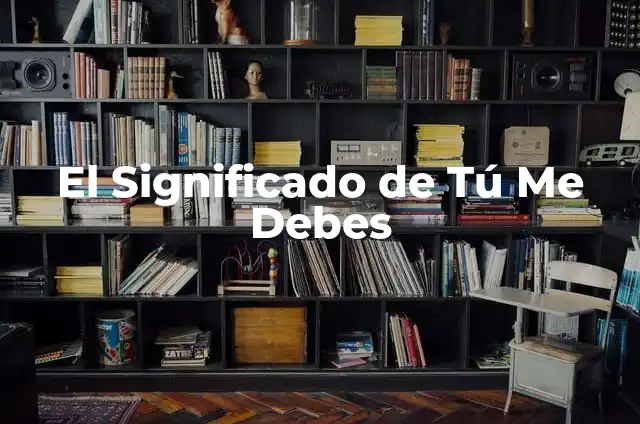 Sonidos para que tu gato venga: Atrae a tu amigo felino con estos consejos 4 El Significado de Tú Me Debes