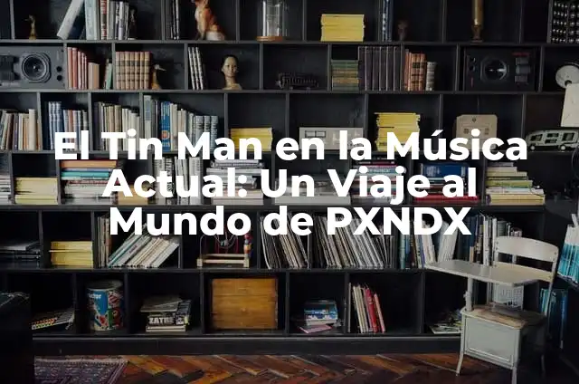 ¿Dónde ver One Punch Man en España? 3 El Tin Man en la Música Actual: Un Viaje al Mundo de PXNDX