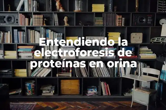 ¿Qué pasa si solo como proteínas? Conoce los efectos en tu cuerpo 5 Entendiendo la electroforesis de proteínas en orina