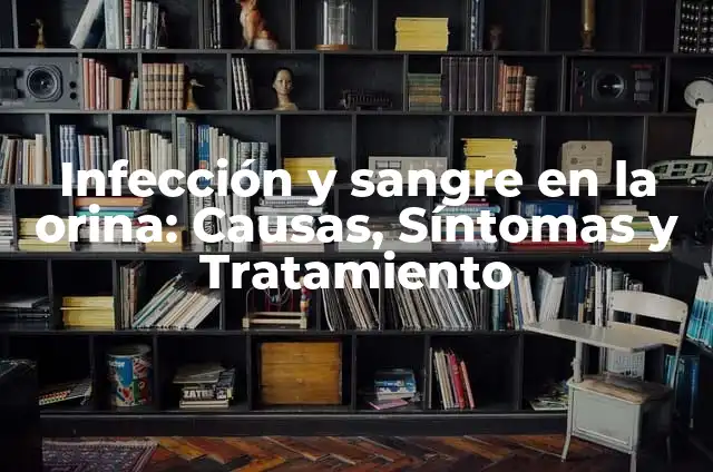Diarrea con Sangre en Perros Ancianos: Causas, Síntomas y Tratamiento 7 Infección y sangre en la orina: Causas, Síntomas y Tratamiento