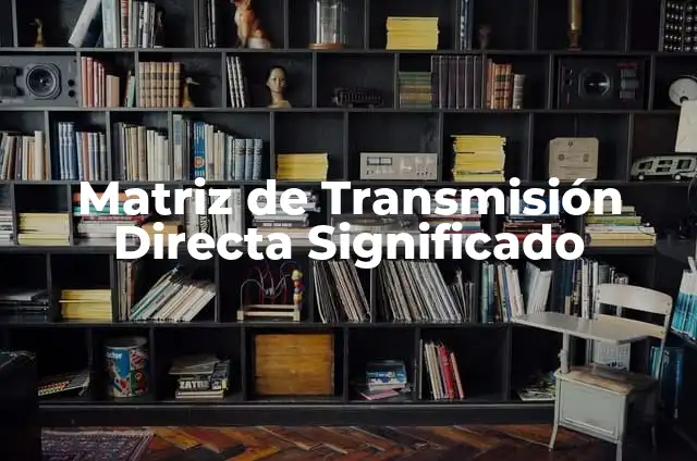¿Qué es la Matriz de la Mujer? - Descubre el Poder Femenino 3 Matriz de Transmisión Directa Significado
