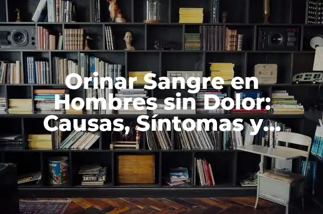 Diarrea con Sangre en Perros Ancianos: Causas, Síntomas y Tratamiento 5 Orinar Sangre en Hombres sin Dolor: Causas, Síntomas y Tratamiento