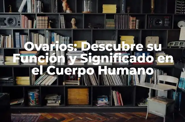 Función del Potasio en el Cuerpo Humano: Descubre su Importancia 4 Ovarios: Descubre su Función y Significado en el Cuerpo Humano