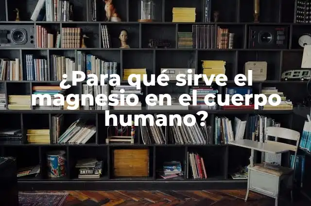 Vinagre con Agua para Qué Sirve - Descubre los Usos y Beneficios 4 ¿Para qué sirve el magnesio en el cuerpo humano?