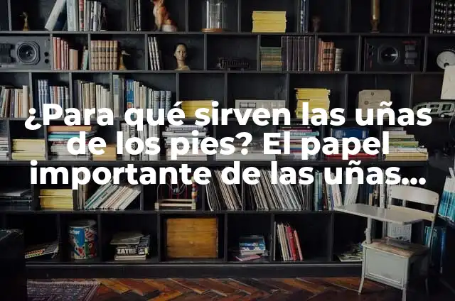 ¿Para qué sirven las uñas de los pies? 7 ¿Para qué sirven las uñas de los pies? El papel importante de las uñas en la salud y el bienestar