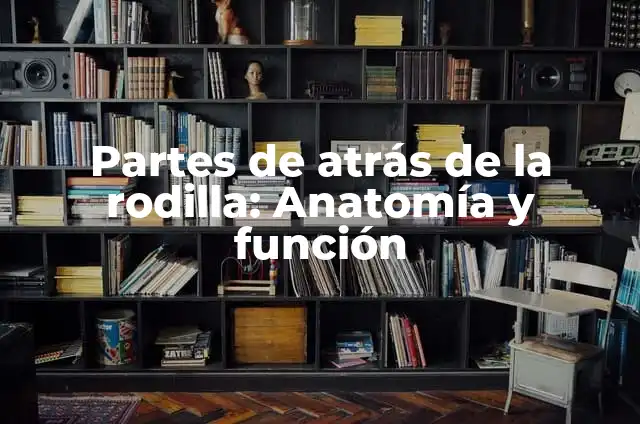El Significado de las Partes: Una Guía Completa 4 Partes de atrás de la rodilla: Anatomía y función