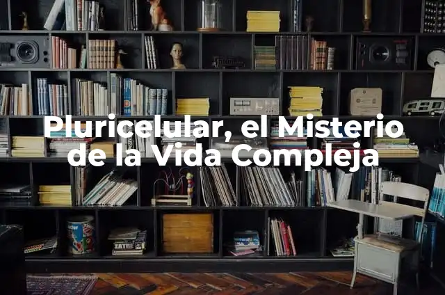 ¿Por qué una hija rechaza a su madre? - Entendiendo la compleja relación madre-hija 4 Pluricelular, el Misterio de la Vida Compleja