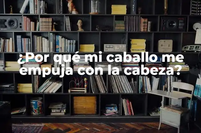Significado de Ecuestre: Todo Sobre el Mundo del Caballo 3 ¿Por qué mi caballo me empuja con la cabeza?