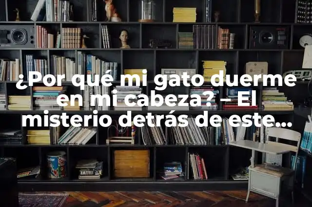 Cuanto duerme un gato de 3 meses: Guía completa sobre el sueño felino 4 ¿Por qué mi gato duerme en mi cabeza? – El misterio detrás de este comportamiento felino