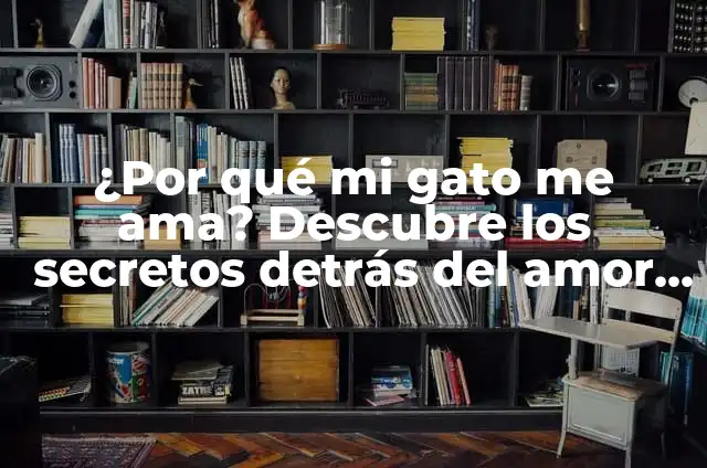 Cuanto duerme un gato de 3 meses: Guía completa sobre el sueño felino 7 ¿Por qué mi gato me ama? Descubre los secretos detrás del amor felino