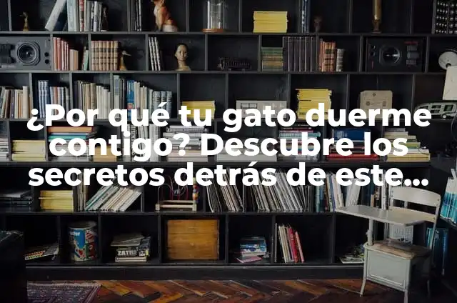 Cuanto duerme un gato de 3 meses: Guía completa sobre el sueño felino 6 ¿Por qué tu gato duerme contigo? Descubre los secretos detrás de este comportamiento