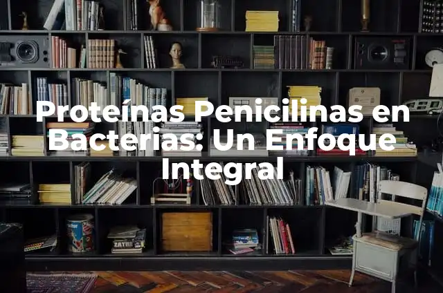 ¿Qué pasa si solo como proteínas? Conoce los efectos en tu cuerpo 3 Proteínas Penicilinas en Bacterias: Un Enfoque Integral