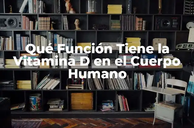 Función del Potasio en el Cuerpo Humano: Descubre su Importancia 5 Qué Función Tiene la Vitamina D en el Cuerpo Humano