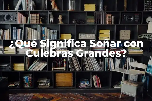 Soñar con Serpientes en el Suelo: Interpretación y Significado 5 ¿Qué Significa Soñar con Culebras Grandes?