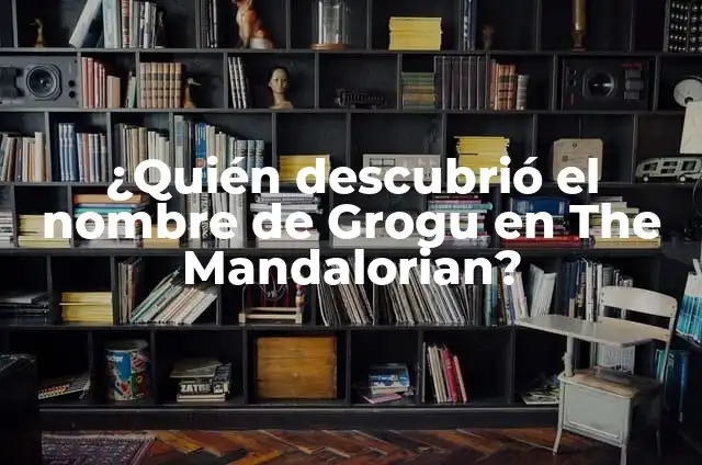 Significado de Descubrio 3 ¿Quién descubrió el nombre de Grogu en The Mandalorian?