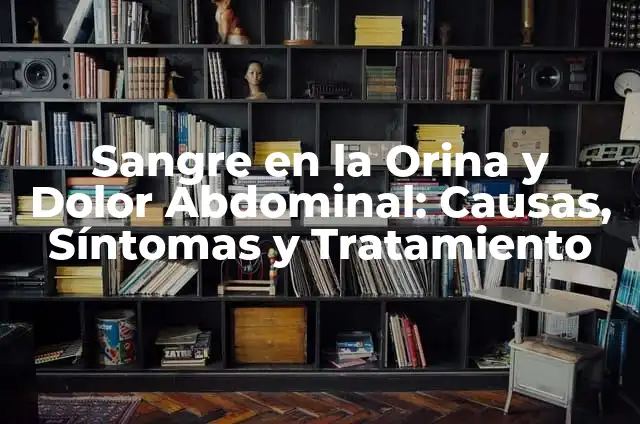Diarrea con Sangre en Perros Ancianos: Causas, Síntomas y Tratamiento 6 Sangre en la Orina y Dolor Abdominal: Causas, Síntomas y Tratamiento
