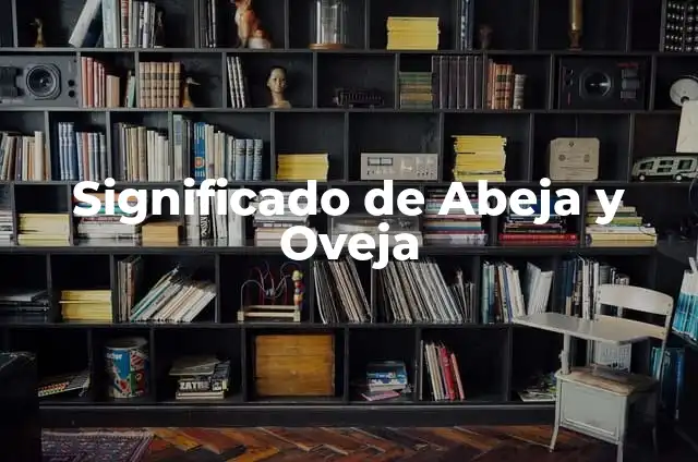Cómo hacer una oveja con una botella y algodón 4 Significado de Abeja y Oveja