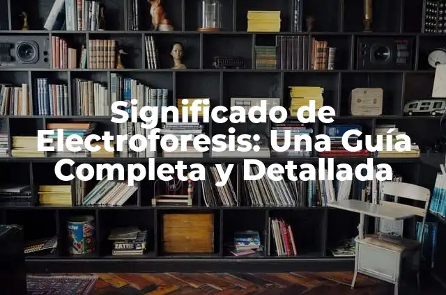 ¿Qué pasa si solo como proteínas? Conoce los efectos en tu cuerpo 4 Significado de Electroforesis: Una Guía Completa y Detallada