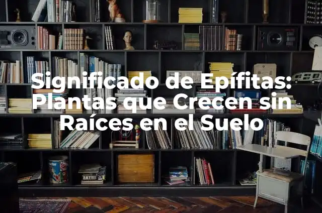 ¿Cuándo te crecen los pechos duele? Explicación y soluciones 6 Significado de Epífitas: Plantas que Crecen sin Raíces en el Suelo