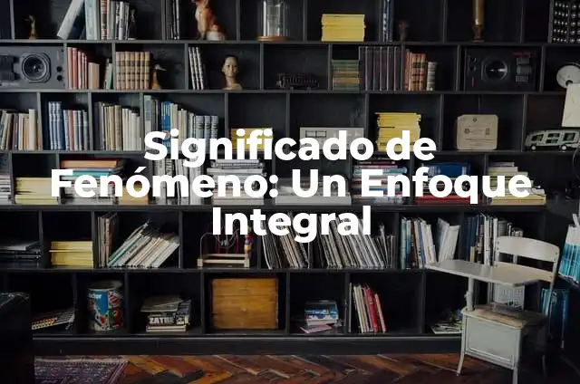 Significado de Ejemplo: Un Enfoque Integral 6 Significado de Fen贸meno: Un Enfoque Integral