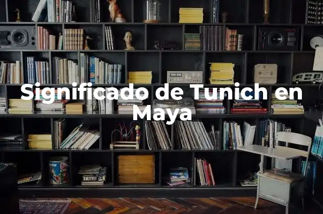 Significado de Tunich en Maya