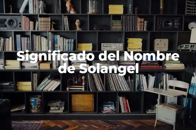 Como Hacer Collar para Animales para que no se Rasquen 3 Significado del Nombre de Solangel