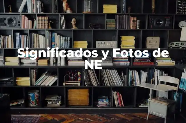 Significados y Fotos de NE