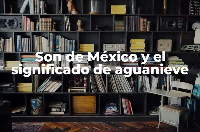 El Jugador Que No Puede Subir De Nivel: Cómo Superar El Estancamiento En Juegos De Rol 5 Son de México y el significado de aguanieve