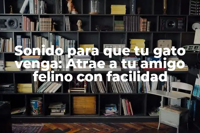 Sonidos para que tu gato venga: Atrae a tu amigo felino con estos consejos 5 Sonido para que tu gato venga: Atrae a tu amigo felino con facilidad