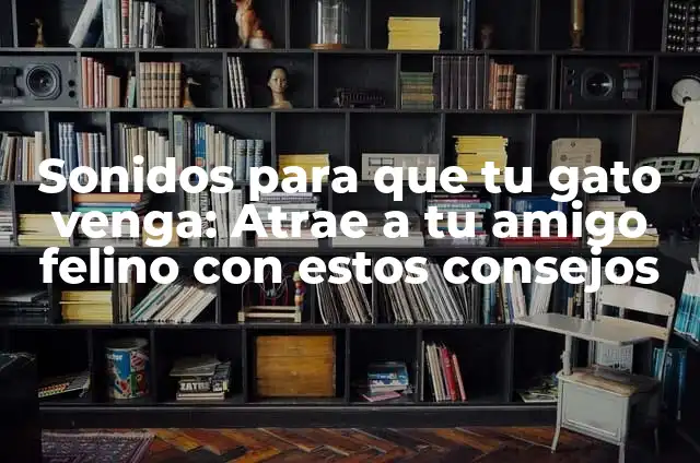 Sonidos para que tu gato venga: Atrae a tu amigo felino con estos consejos