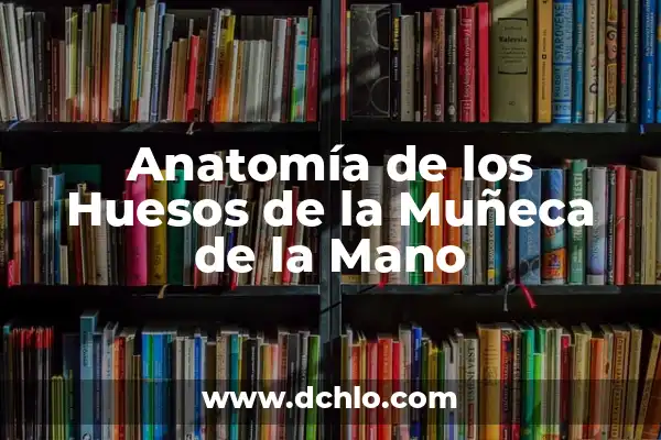 Partes de atrás de la rodilla: Anatomía y función 3 Anatomía de los Huesos de la Muñeca de la Mano