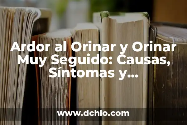 Orinar Cada Dos Horas por la Noche: ¿Es Normal o Un Problema de Salud? 5 Ardor al Orinar y Orinar Muy Seguido: Causas, Síntomas y Tratamientos