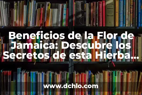 ¿Qué es Moringa y Para Qué Sirve? - Beneficios y Usos de la Moringa 8 Beneficios de la Flor de Jamaica: Descubre los Secretos de esta Hierba Milagrosa