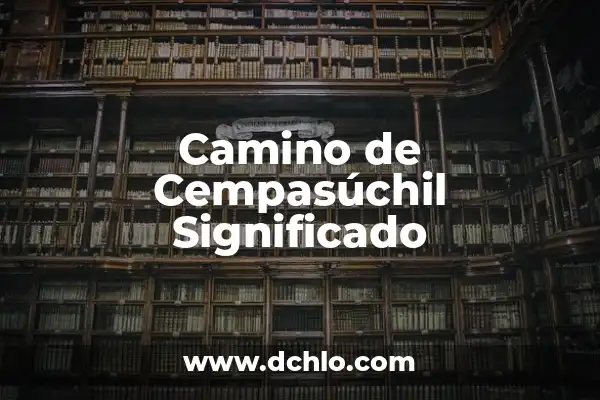 ¿Dónde Ver el Camino a Casa? Guía Completa para Encontrar tu Rumbo 4 Camino de Cempasúchil Significado