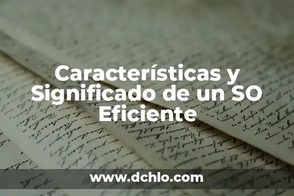 El Significado de So Fine en Español 4 Características y Significado de un SO Eficiente