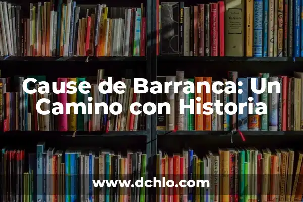 Hidrométricas: El significado detrás de las mediciones del agua 4 Cause de Barranca: Un Camino con Historia